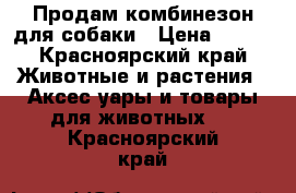 Продам комбинезон для собаки › Цена ­ 600 - Красноярский край Животные и растения » Аксесcуары и товары для животных   . Красноярский край